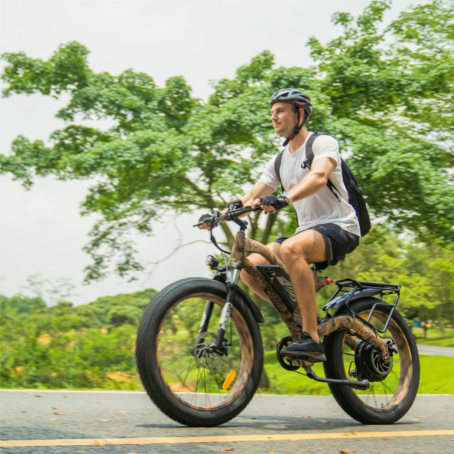 Fat Tire EBike