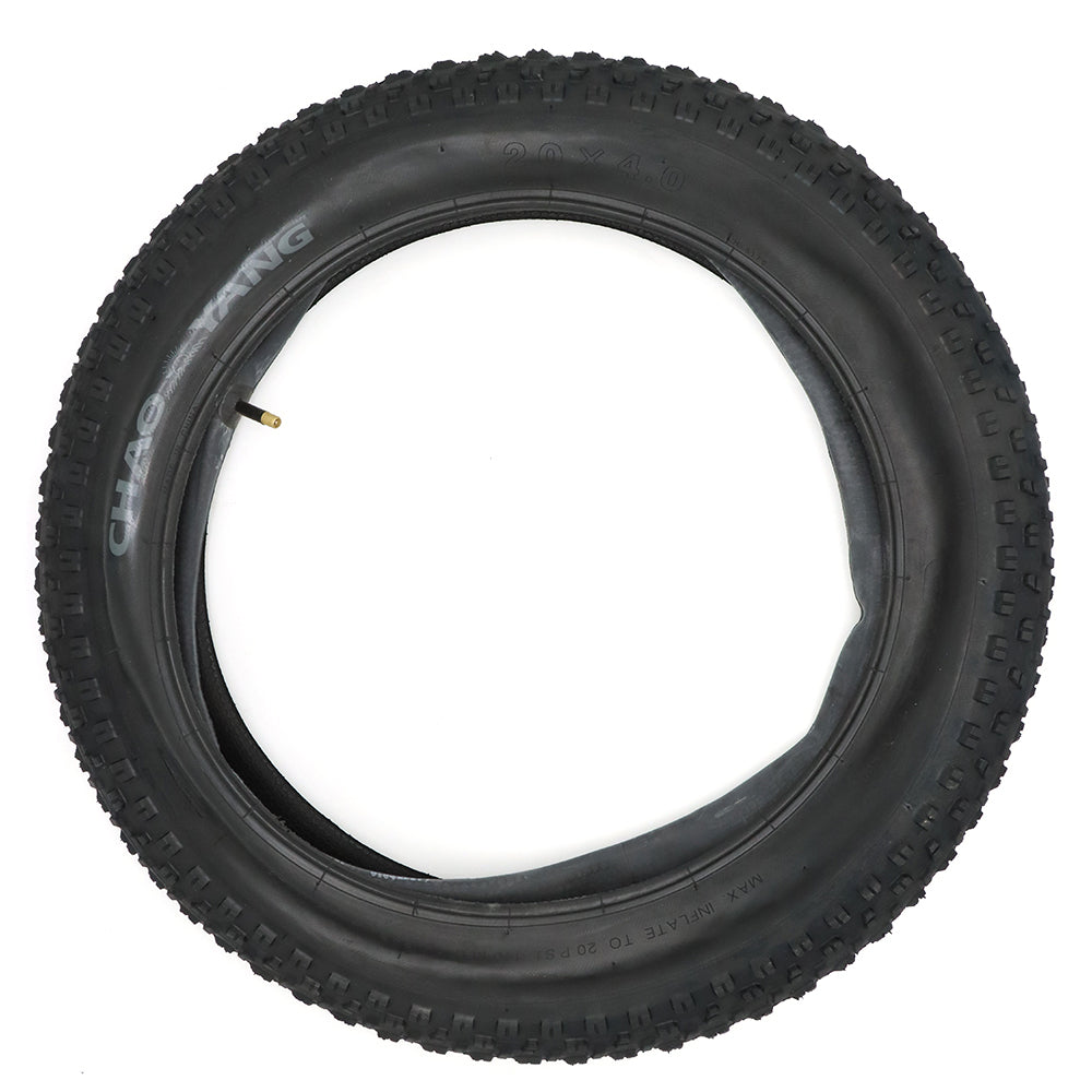 Electric Bike Tire