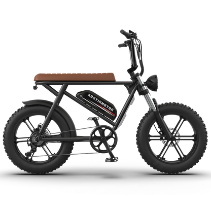 Super Cool New Model Electric Bike Storm