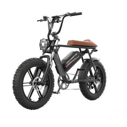 Super Cool New Model Electric Bike Storm