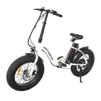 500W Low Step Fat Tire G20 aostirmotor.bike