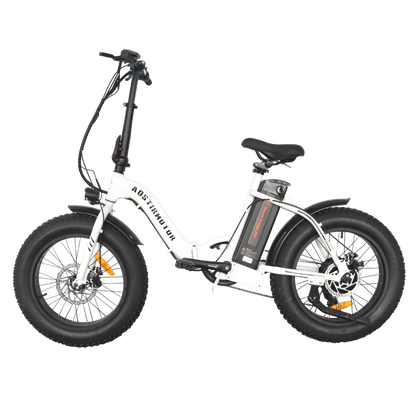 500W Low Step Fat Tire G20 aostirmotor.bike