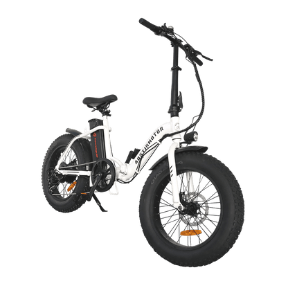 500W Low Step Fat Tire G20 aostirmotor.bike