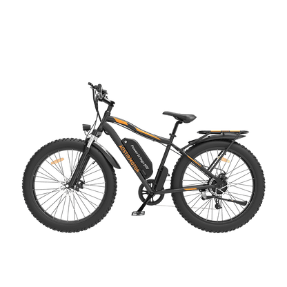 750W electric bike